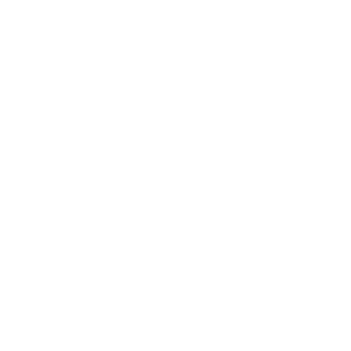 icon viaggio blanco